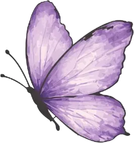logo-papillon